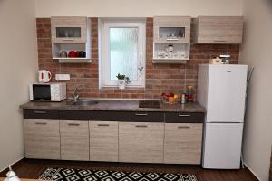 Kuchyň nebo kuchyňský kout v ubytování Apartman Biskupice