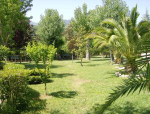 Сад в Hotel Zi Marianna