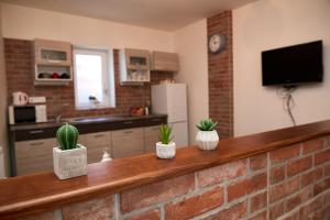 Kuchyň nebo kuchyňský kout v ubytování Apartman Biskupice