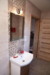 Ванная комната в Apartman Biskupice