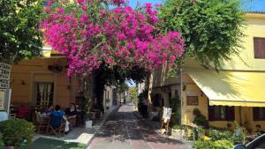 a tree with pink flowers hanging over a street at Under the Acropolis in Athens