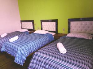 a bedroom with two beds and a television at Misti Hostel B&B in Arequipa
