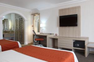 TV o dispositivi per l'intrattenimento presso Hotel Flamingo Irapuato