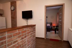 TV a/nebo společenská místnost v ubytování Apartman Biskupice