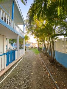 Κήπος έξω από το The Odyssey Resort Utila