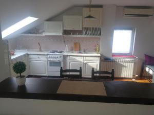 Kuhinja oz. manjša kuhinja v nastanitvi Apartment Nedic