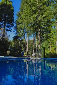 una piscina con árboles en el fondo en Hosteria Las Garzas, en Villa La Angostura