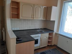 a small kitchen with a sink and a stove at 1 Zimmer Wohnung für 1-2 Gäste in Gößnitz