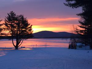 a tree in the snow with a sunset in the background at Inn at Pleasant Lake in New London