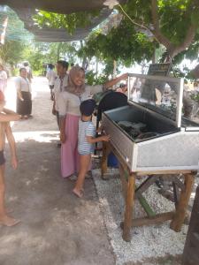 Gallery image of Ana Warung & Bungalows in Gili Meno