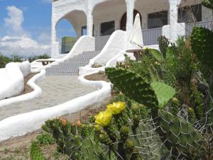 un grupo de escaleras con cactus delante de un edificio en El Faro de Carpier - ApartHotel & Restaurante Bar Cafetería in 