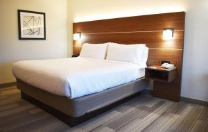 Postel nebo postele na pokoji v ubytování Holiday Inn Express Hotel & Suites Albany by IHG