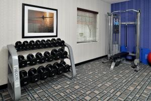 Palestra o centro fitness di Holiday Inn Express & Suites Peekskill-Lower Hudson Valley by IHG