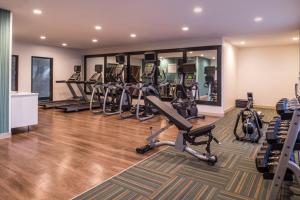 Fitness centrum a/nebo fitness zařízení v ubytování Holiday Inn Express Hotel & Suites Albany by IHG