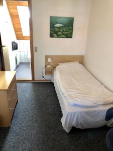 En eller flere senge i et værelse på Danhostel Sandvig
