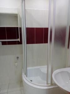 een badkamer met een douche, een toilet en een wastafel bij Apartmán Špičák in Jiřetín pod Bukovou