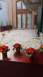 tre vasi di fiori seduti di fronte a un edificio di Calle Michelangelo Apartments a Venezia