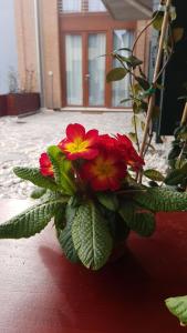 un ramo de flores rojas y amarillas en un jarrón en Calle Michelangelo Apartments en Venecia