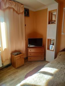 a bedroom with a bed and a television on a dresser at Садиба у пані Марії in Vorokhta