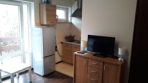Kuchyňa alebo kuchynka v ubytovaní Apartamenty i Pokoje przy Parku