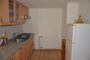 a kitchen with a sink and a white refrigerator at Domcek Lutila 54 in Lutila