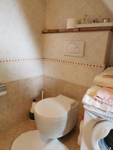 a bathroom with a toilet and a sink at CASA VISTA LAGO E GIARDINO in Porlezza