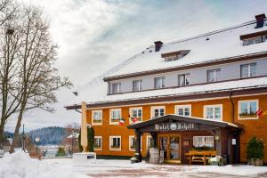 Gallery image of Hotel Schiff am Schluchsee in Schluchsee