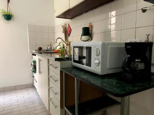 eine Küche mit Theke und Mikrowelle in der Unterkunft DEPARTAMENTO COCA in Buenos Aires