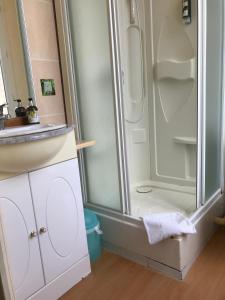 La salle de bains est pourvue d'une douche et d'un lavabo. dans l'établissement Hôtel de Paris Restaurant BISTRONOMY, aux Andelys