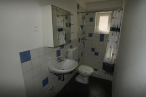 een badkamer met een wastafel en een toilet bij Chalet Alpina in Bovec