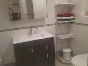 a bathroom with a sink and a toilet and a mirror at Studio massacan in Entrevaux