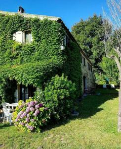 ポルト・サン・ジョルジョにあるVista sul Mareの蔦葺き屋根の建物