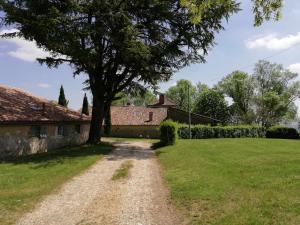 a tree in a field next to a house at gites Les Lebes - Grange loft in Sempesserre