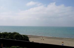 Naturlandskabet i nærheden af lejligheden