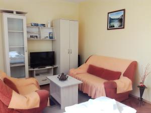 TV a/nebo společenská místnost v ubytování Dora Apartment