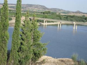 a bridge over a river with trees in the foreground at Apartamentos Turísticos Las Saladas in Chiprana