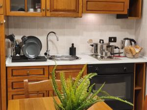 A kitchen or kitchenette at FraBa Apartment