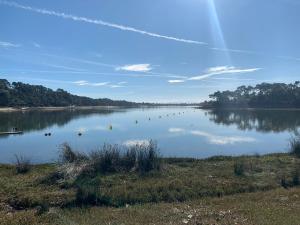a lake with a bunch of birds in the water at Appartement avec jardin entre lac et océan Hossegor in Soorts-Hossegor +2 photos