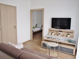 ein Wohnzimmer mit einem Sofa und einem TV in der Unterkunft ADRIA exclusive apartman in the city center of Žilina in Žilina