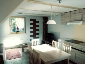 eine Küche mit einem Tisch und Stühlen im Zimmer in der Unterkunft apartma HIŠKA KOROŠEC in Bohinj
