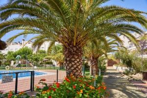 Bazén v ubytovaní Apartamento primera línea de playa Isla Cristina Urbanización Zarati alebo v jeho blízkosti