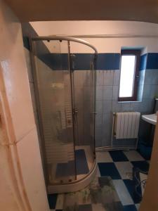 a shower with a glass door in a bathroom at Alex-Gabriel in Sibiu