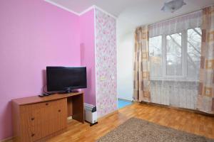 オムスクにあるOmskSutki Apartments on Tsyolkovskogo st.のピンクの壁のリビングルーム(テレビ付)