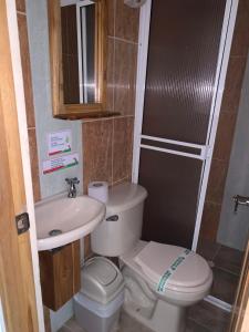 a small bathroom with a toilet and a sink at Hotel Las Guacamayas Guatapé in Guatapé