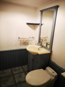 La salle de bains est pourvue de toilettes, d'un lavabo et d'un miroir. dans l'établissement Studio indépendant centre ville Aix les bains, à Aix-les-Bains