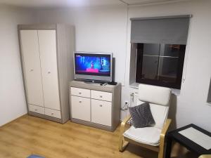 TV a/nebo společenská místnost v ubytování Penzion Ubytování u Parku s parkovištěm