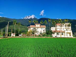 una grande casa di fronte a un campo verde di Home-Link B&B a Fenglin