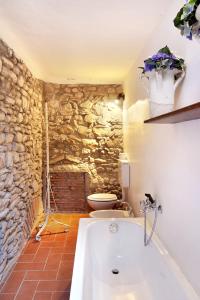 a bathroom with a bath tub and a toilet at Poggio a Sieve in Villore