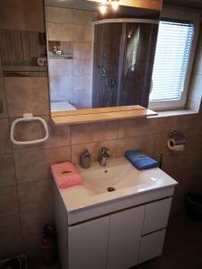 y baño con lavabo con espejo y ducha. en Apartments Ema, en Podčetrtek