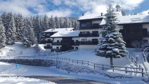 ALPieve Albergo Pieve að vetri til